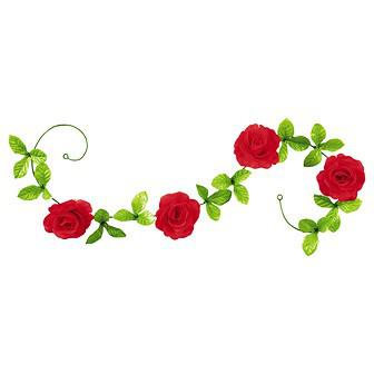 ローズガーランド画像