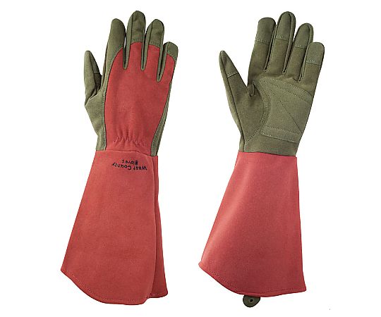 WEST COUNTY Rose ルビー XL