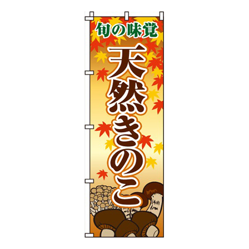 天然きのこ画像