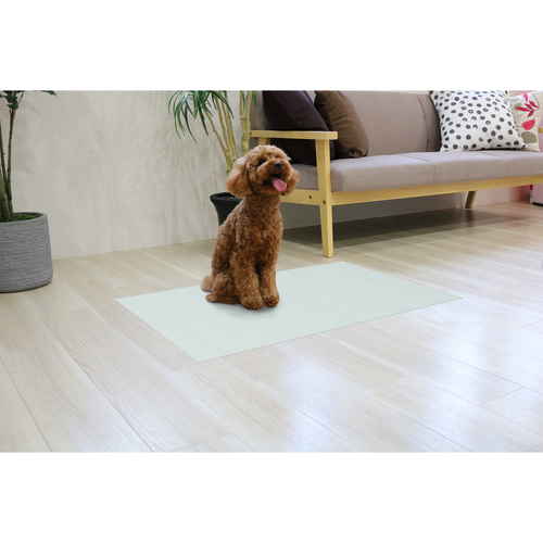 ひんやりマット　60cm×90cm　ライトブルー 淡いライトブルーのマットが広がり、滑らかな表面が強調された状態。