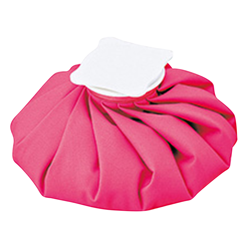 ナビアイスバッグ　ピンク　M画像