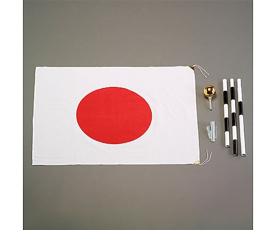 700x 900mm 国旗セット(組立式) 旗が風になびいている様子