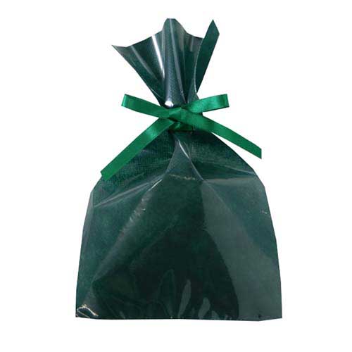 ソフトバッグクリア 2穴リボン巾着 S3 グリーン画像