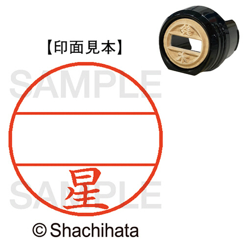 ﾃﾞｰﾀｰﾈｰﾑEX12号 ﾏｽﾀｰ部(印面) 既製 星 1個画像
