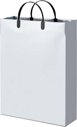 発泡ポリエチレンバッグ　Ｌ　シルバー１０枚画像