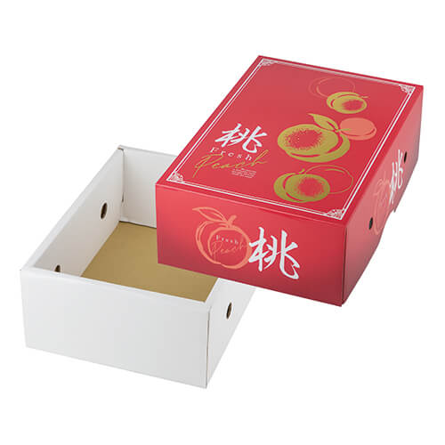 グレースピーチ１．８画像