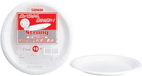 ストロングプレート１７ｃｍ　１０枚