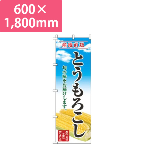 とうもろこし青空明画像