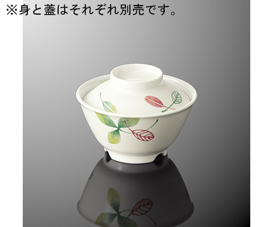 飯碗 特小 身 リーフルDC