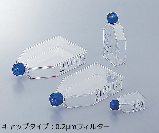 イージーフラスコ 25cm2（0.2μmフィルターキャップ）1箱（10個×20包入）画像