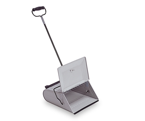 BMチリトリ画像