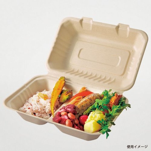 弁当容器 BBランチ 240-150-2 パックスタイル 透明な容器に盛り付けられたカラフルな食材が見える状態
