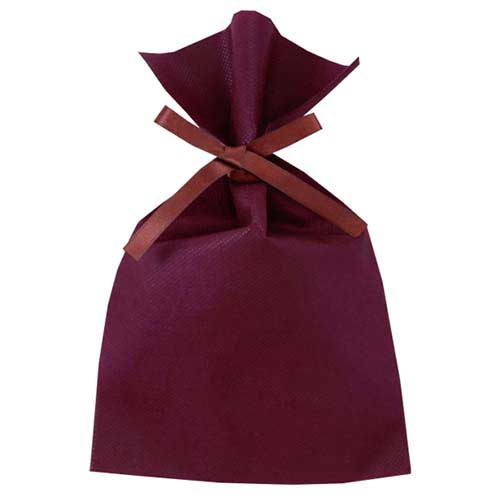 ソフトバッグベーシック2穴リボン巾着 S3 薄 ボルドー画像