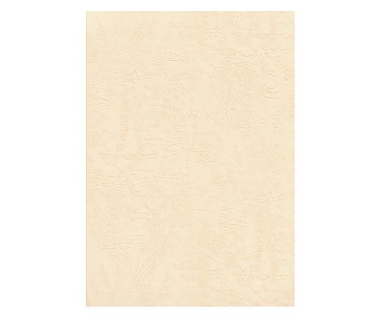 HEIKO カットペーパー レザック66 A4 ミルク 20枚画像