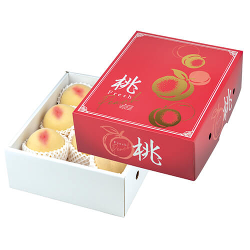 グレースピーチ２．５画像