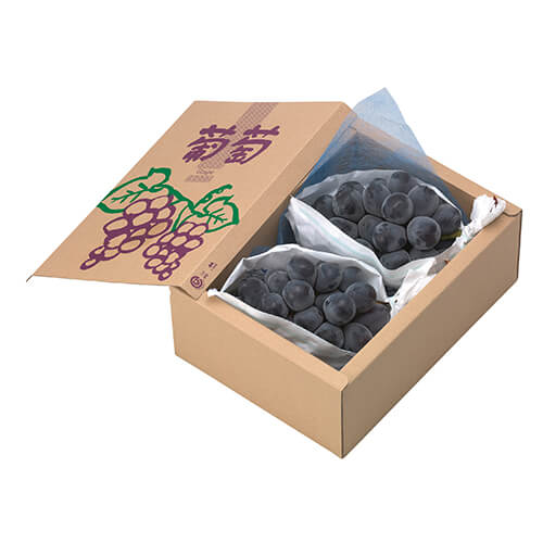 サービスぶどう画像