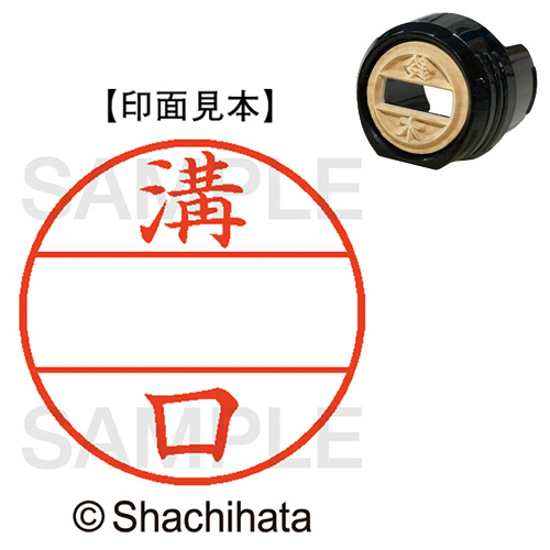 ﾃﾞｰﾀｰﾈｰﾑEX12号 ﾏｽﾀｰ部(印面) 既製 溝口 1個画像