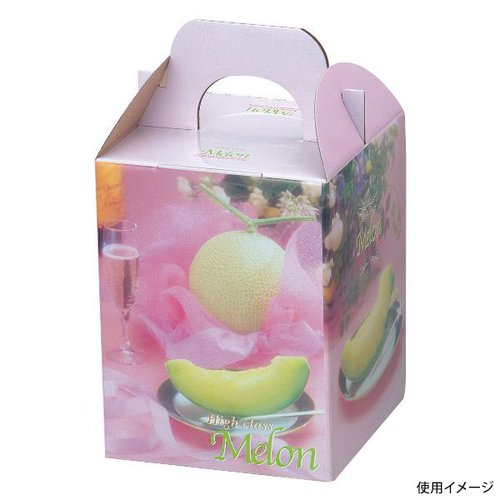 ギフト箱 L-407 ブリリアントメロン1ヶ入 ヤマニパッケージ [ケース販売]
