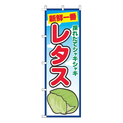 レタス青空画像