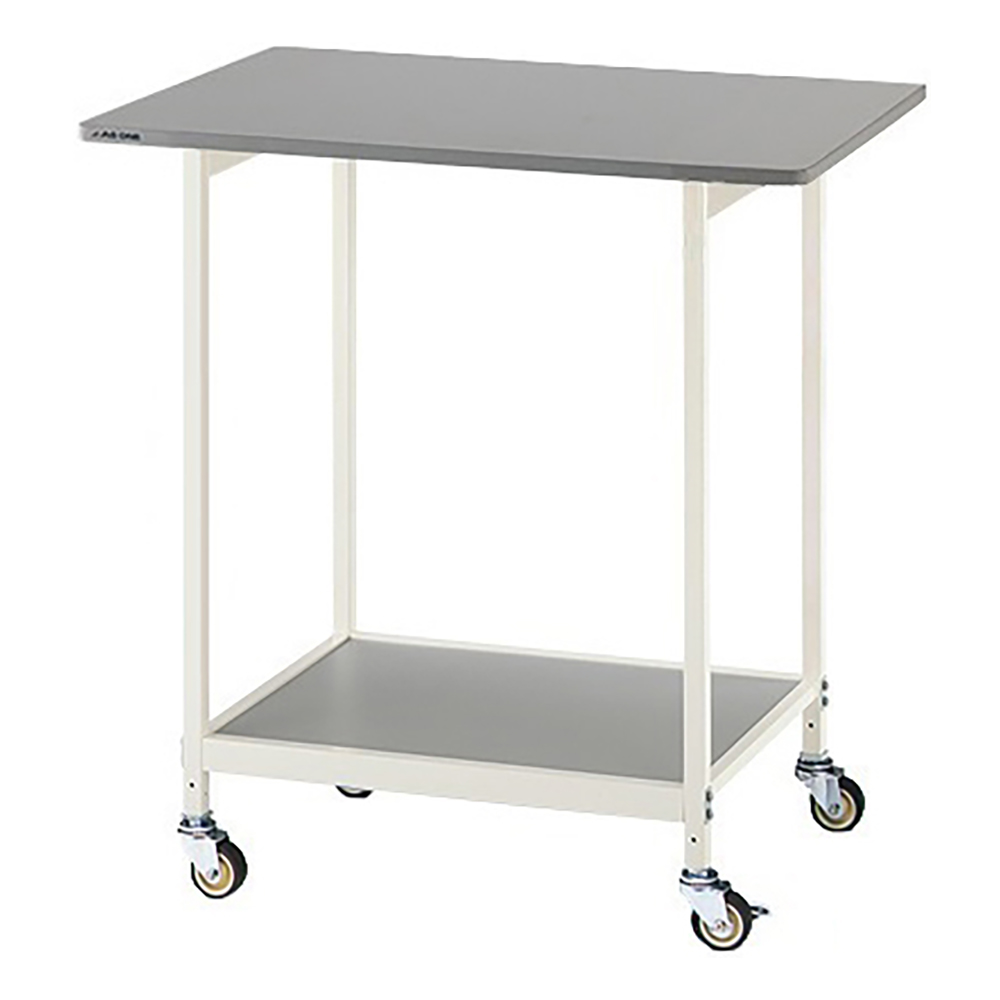 ニューラボベンチ（ホワイトカラー)　耐荷重仕様画像