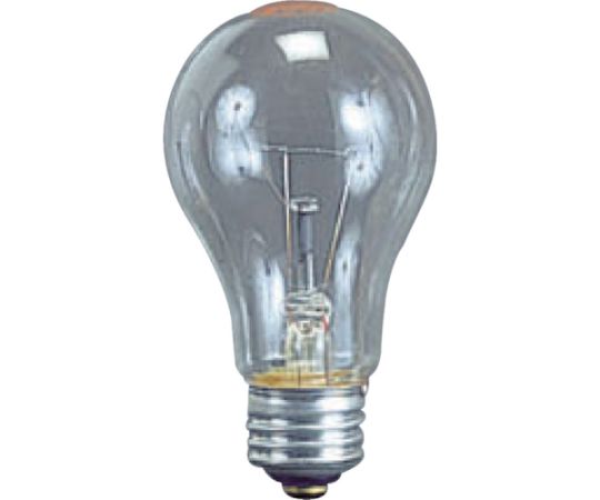 耐振電球100W　（ILI、KL型用）画像