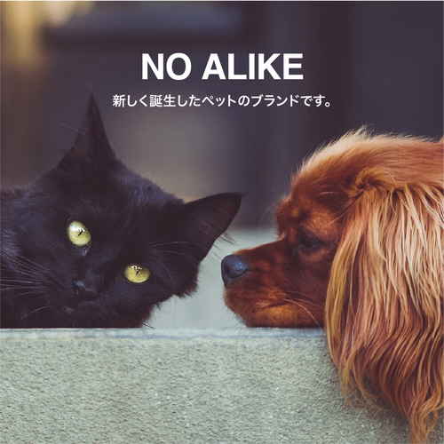 散歩バッグ　うんちバッグ付き　犬　ショルダー 肩掛けストラップ付きのバッグが斜め上から見える状態、前面には小さなポケットが付いている。