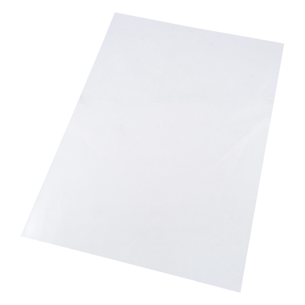 ポリエチレンナフタレートフィルム （テオネックス（R）） 210mm×297mm×75μm 1袋（10枚入）画像