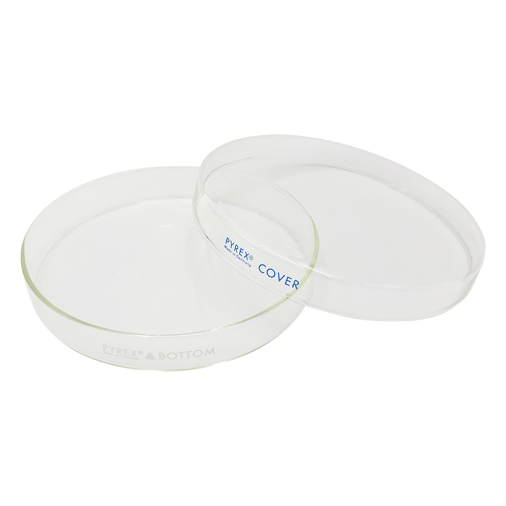 ペトリ皿　PYREX(R)　φ150×20mm画像