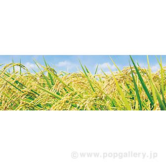 ラウンドシート 稲穂（写真）画像