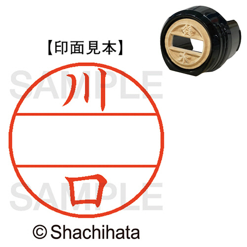 ﾃﾞｰﾀｰﾈｰﾑEX12号 ﾏｽﾀｰ部(印面) 既製 川口 1個画像