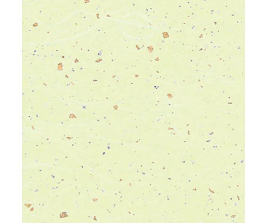HEIKO 和紙 雲龍紙金銀振 草 50枚画像
