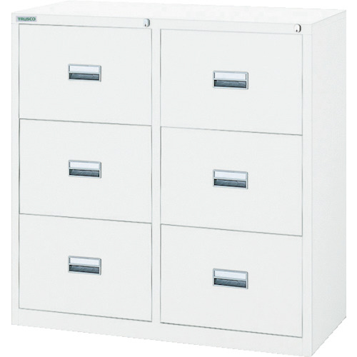 ｽﾀﾝﾀﾞｰﾄﾞ書庫(D400)ｷｬﾋﾞﾈｯﾄ3段 880×H880 W 1台画像