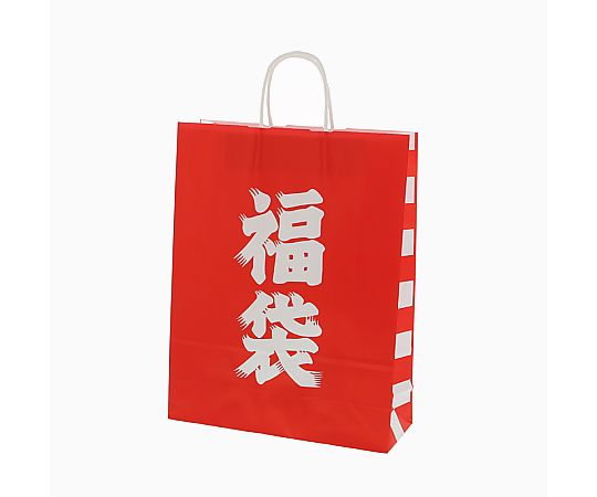 手提げ紙袋　25チャームバッグ　2才　福袋　50枚画像