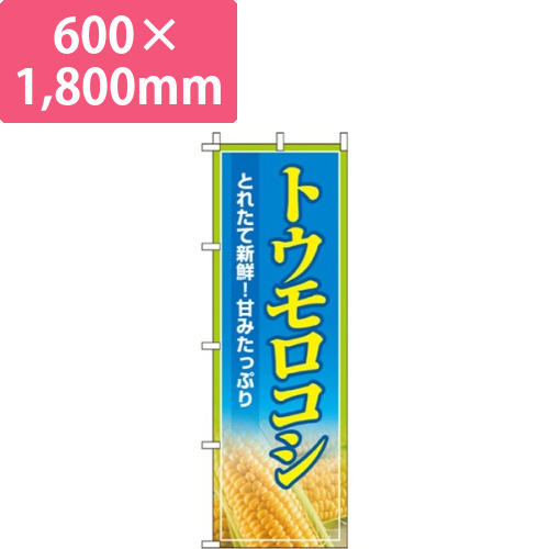 トウモロコシ画像
