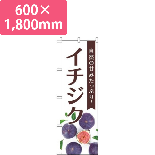 イチジク写真画像