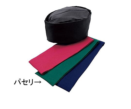 和帽子 LL パセリ画像