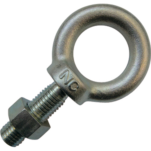 NANIWA ｱｲﾎﾞﾙﾄ 三価ｸﾛﾒｰﾄ M8×50 1個画像