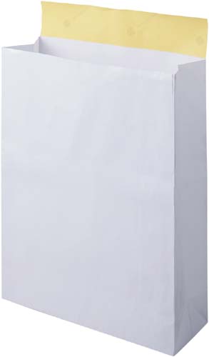 宅配袋　白　大　２５枚画像