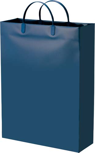 発泡ポリエチレンバッグ　Ｌ　コン　１０枚画像