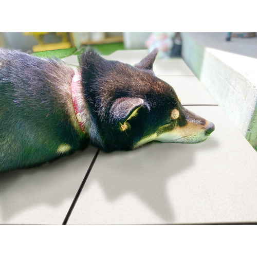 ジョイント遮熱パネル　SJT-30　アイボリー 横から見たパネルが並び、表面の質感が伝わる状態