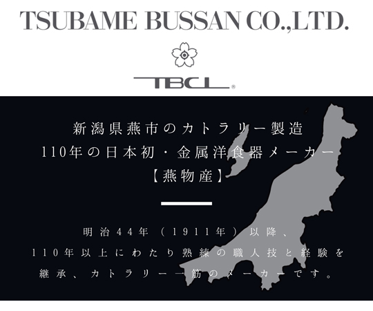ブランチ ソーダスプーン 1本 ステンレスカトラリー 日本製 光沢のあるステンレス製のスプーンが平らに置かれている様子