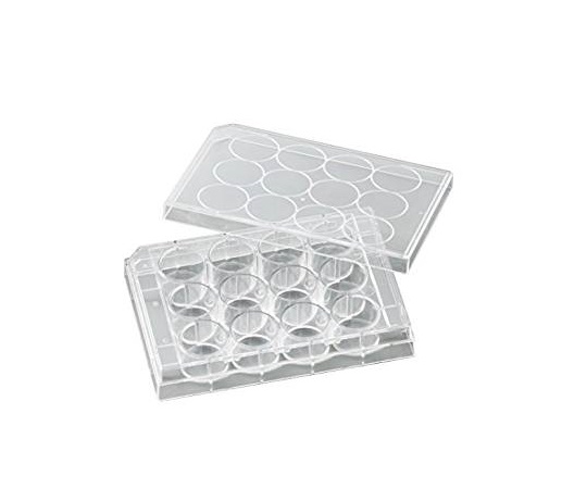 ビオラモ 細胞培養プレート 1箱（50個入）画像