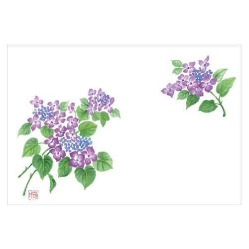 テーブルマット 尺3寸 No.485 額紫陽花 カミイソ産商 [バラ販売]