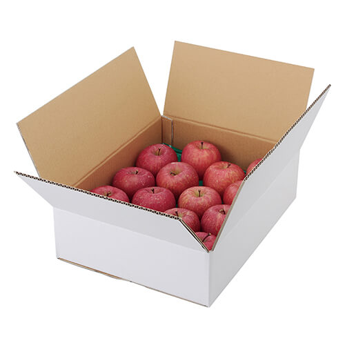 Ａ式りんご白無地５㎏画像