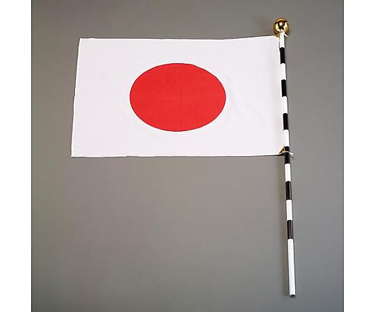 700x 900mm 国旗セット(組立式)画像