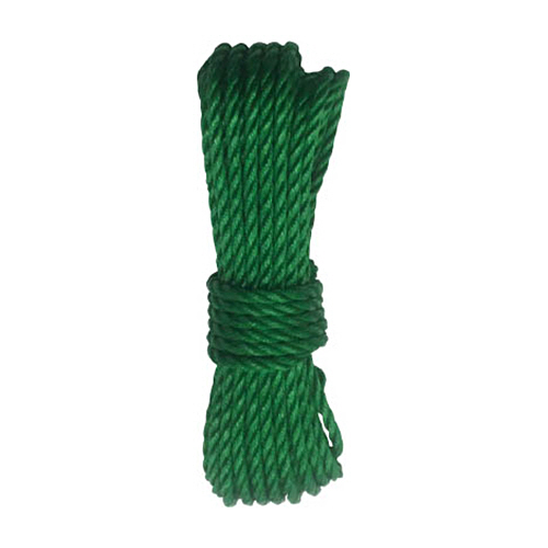 ﾛｰﾌﾟ PEﾛｰﾌﾟｸﾞﾘｰﾝ 6φ×10m 1巻画像