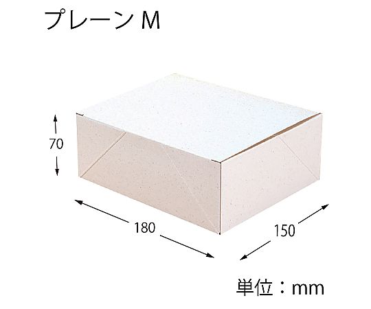 HEIKO エコパームボックス プレーンL 20枚 商品が整然と並べられた状態で、全体が見える配置