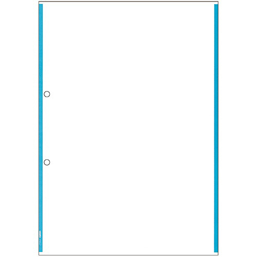ﾏﾙﾁﾌﾟﾘﾝﾀ帳票 FSC森林認証紙 複写 A4ﾉｰｶｰﾎﾞﾝ ﾌﾞﾙｰﾗｲﾝ 2穴 1冊(100枚)画像
