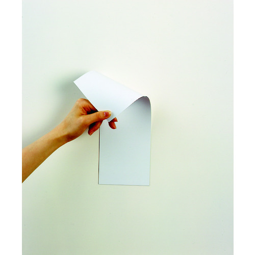 マグネット両面カラーシート白白画像