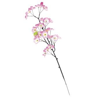 桜スプレー小（1本枝）画像